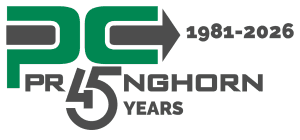 Logo 45th V3